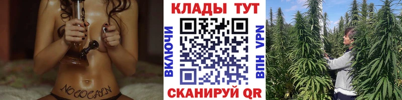 Бошки Шишки Калининград