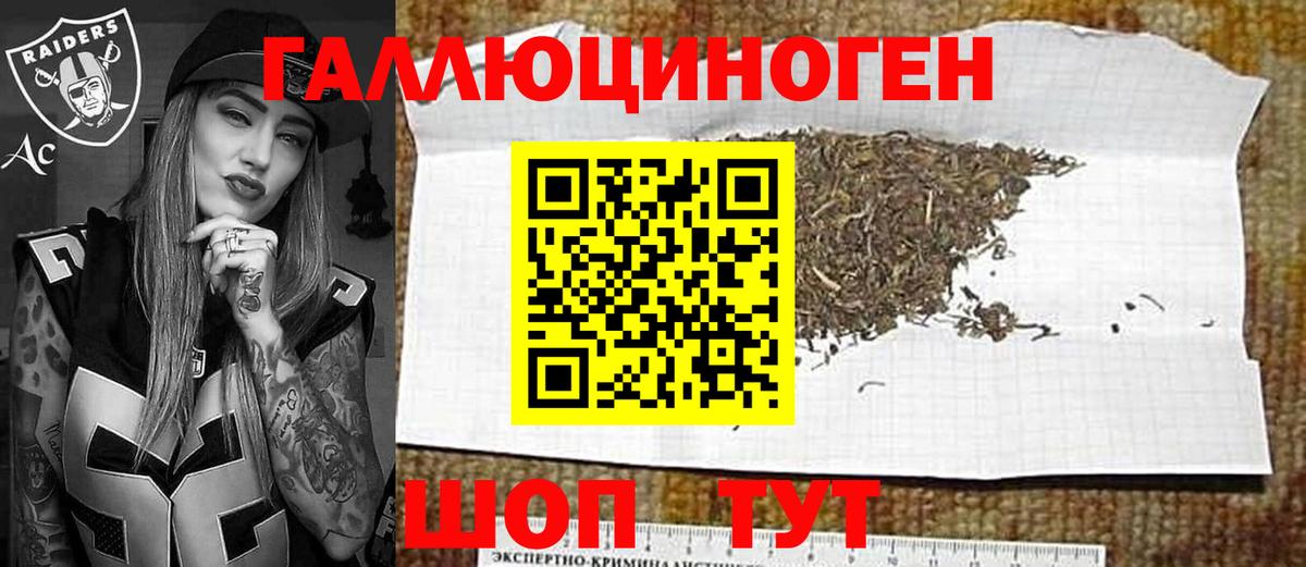 Псилоцибиновые грибы Psilocybine cubensis  Псилоцибиновые грибы прущие грибы  Вход с VPN  Калининград 